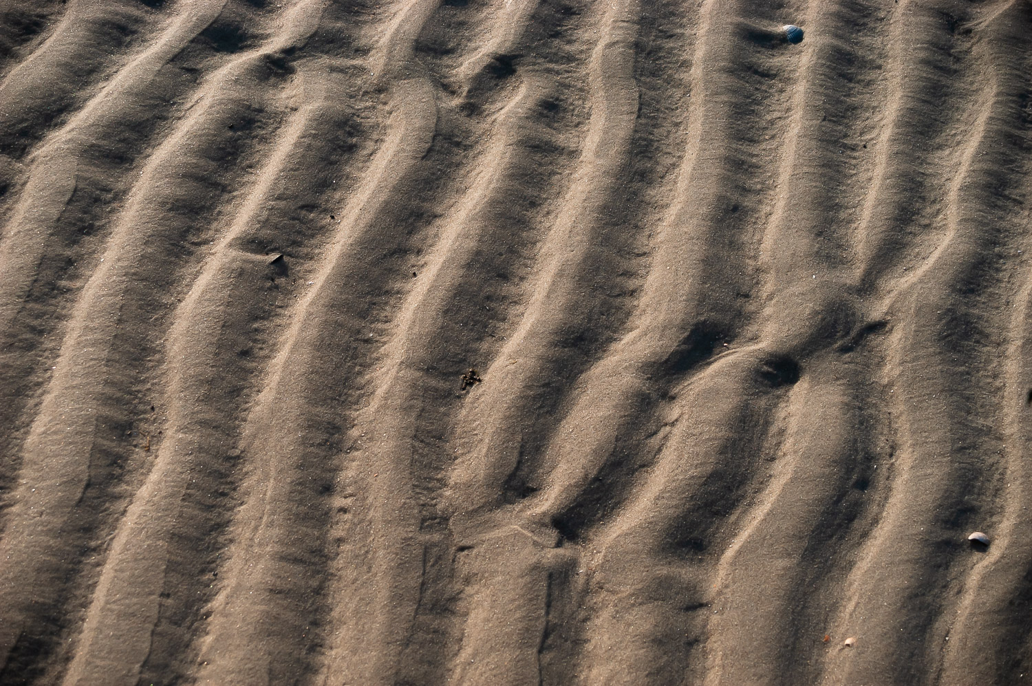 KM_2006_05_04 183853 DSC07_0856