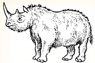 Wildtiere07a
