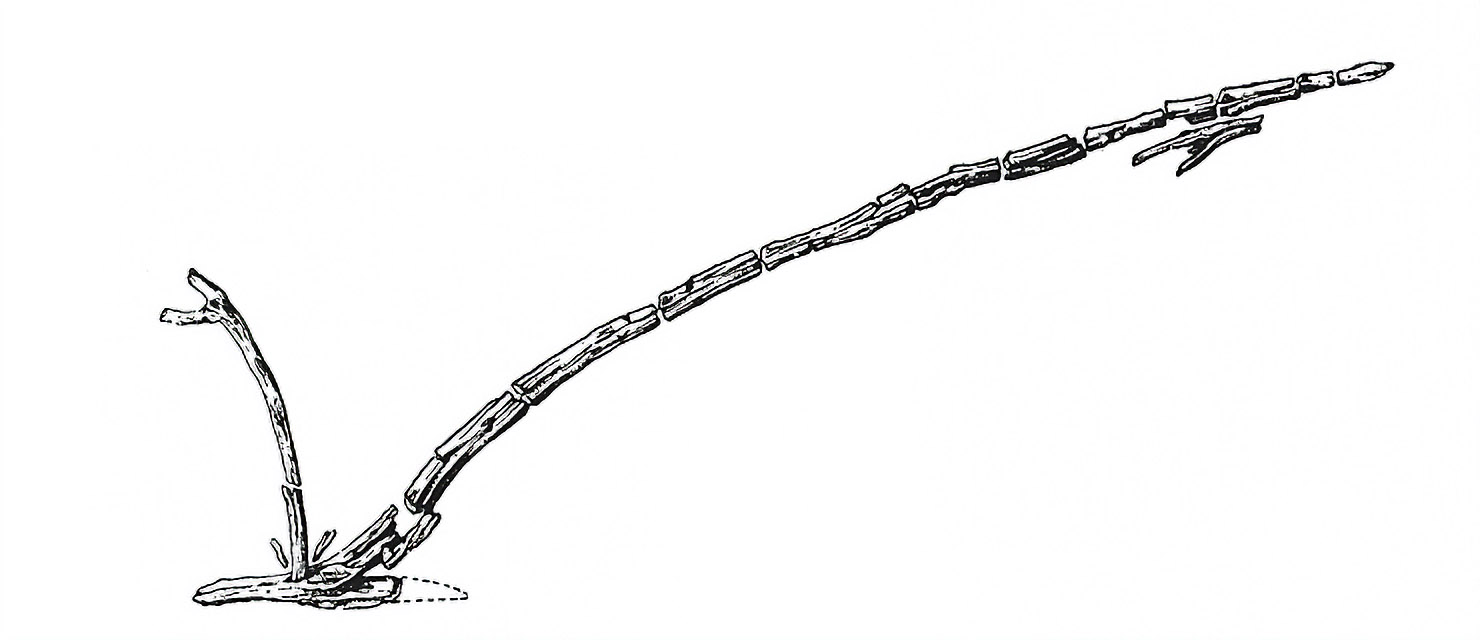 Geest_Bronzezeit_02
