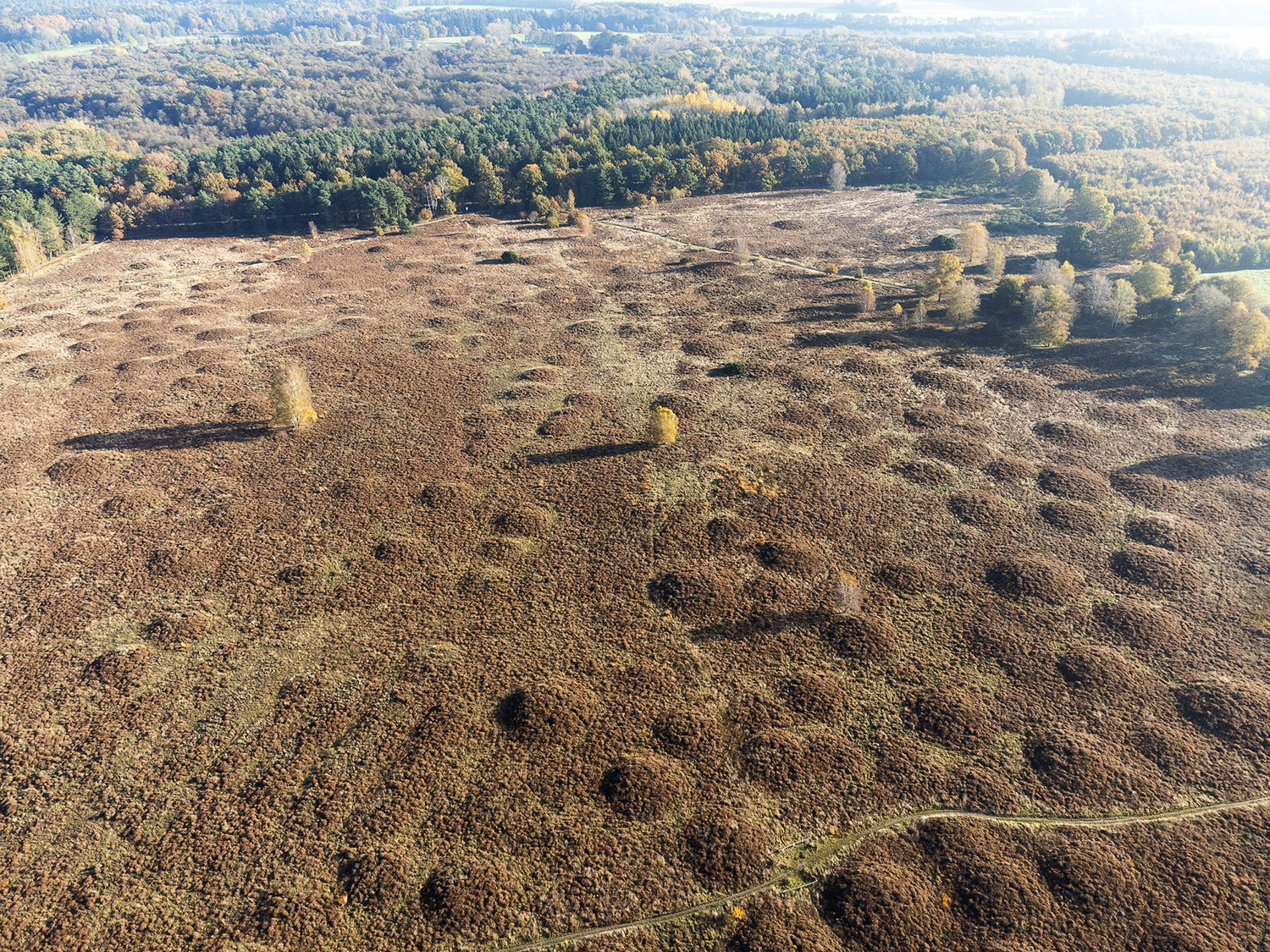 Geest_Eisenzeit_JMS_DJI_0078 Kopie