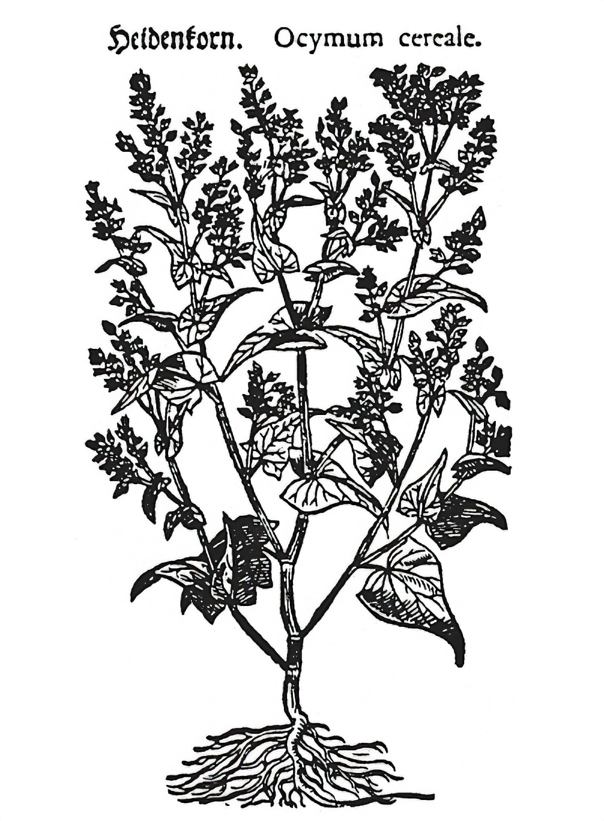 Geest_Mittelalter_05