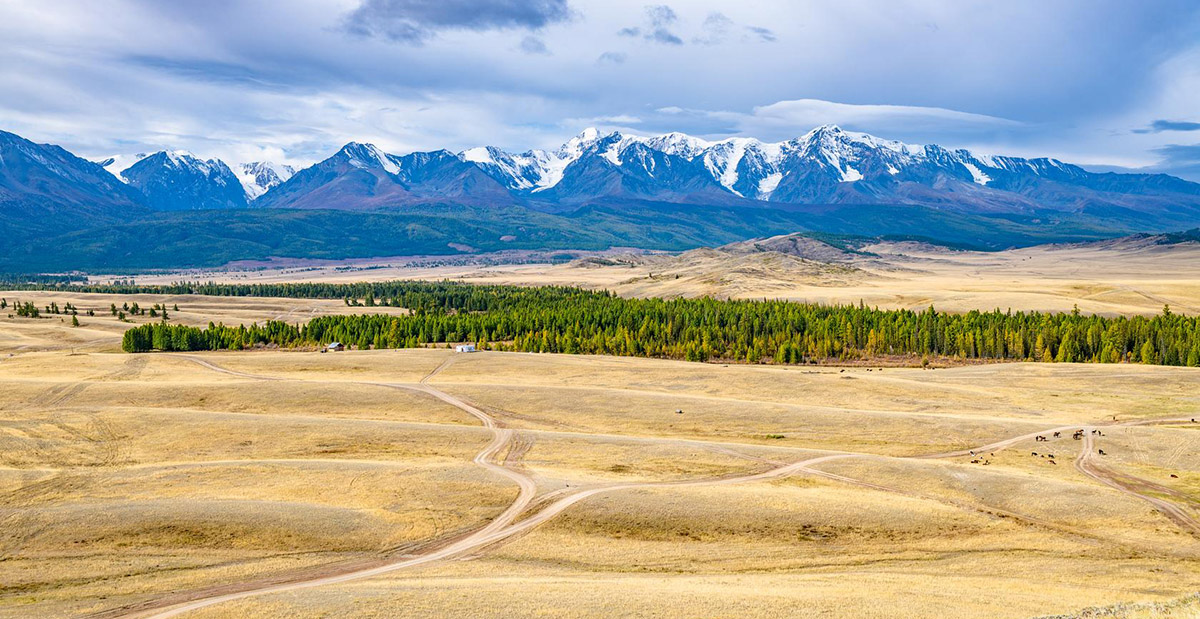 Steppe1